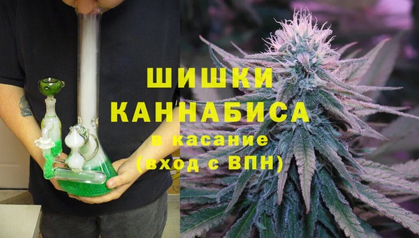 spice Гусь-Хрустальный