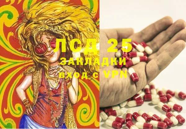 дурь Горно-Алтайск
