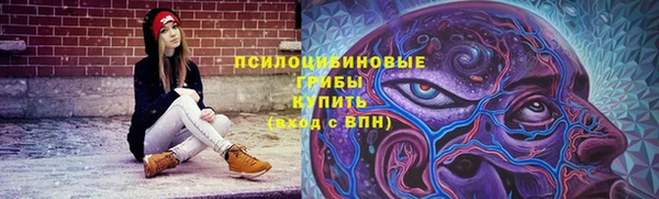 spice Гусь-Хрустальный