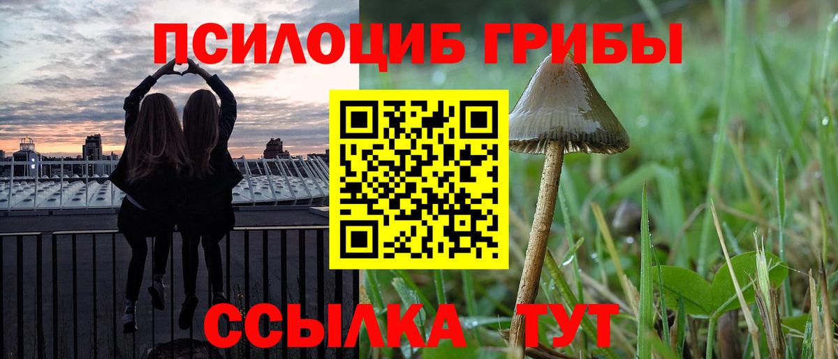 Псилоцибиновые грибы Psilocybe  Галлюциногенные грибы прущие грибы  где купить   Ейск  Вход с VPN 